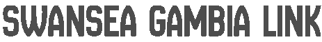 Swansea Gambia Link